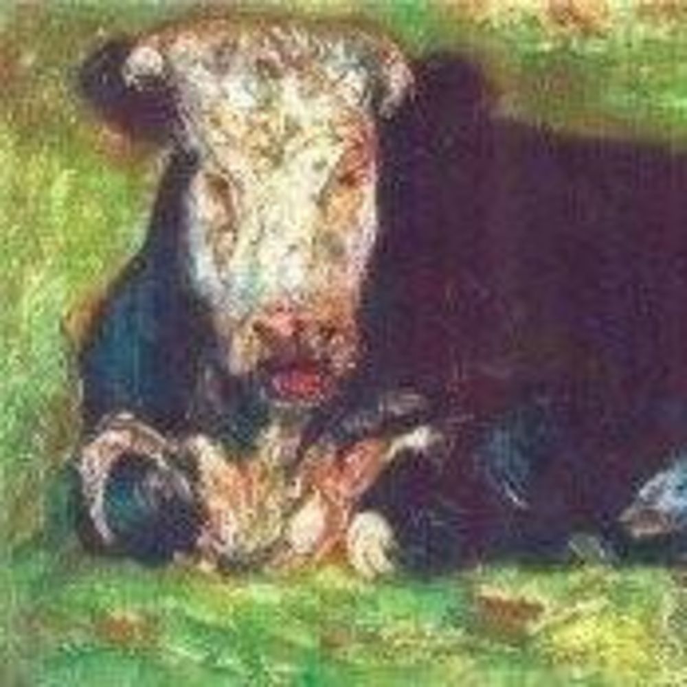 Meet your Posher, Ian